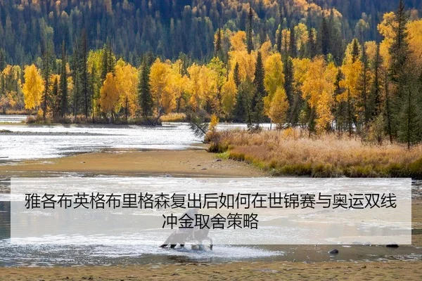 ya-ge-bu-ying-ge-bu-li-ge-sen-fu-chu-hou-ru-he-zai-shi-jin-sai-yu-ao-yun-shuang-xian-chong-jin-qu-she-ce-lve-2-151.jpg